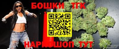 гашик Будённовск