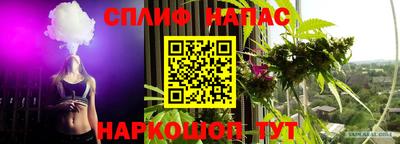 гашик Будённовск