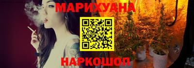 гашик Будённовск