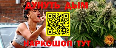 гашик Будённовск