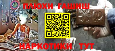 гашик Будённовск
