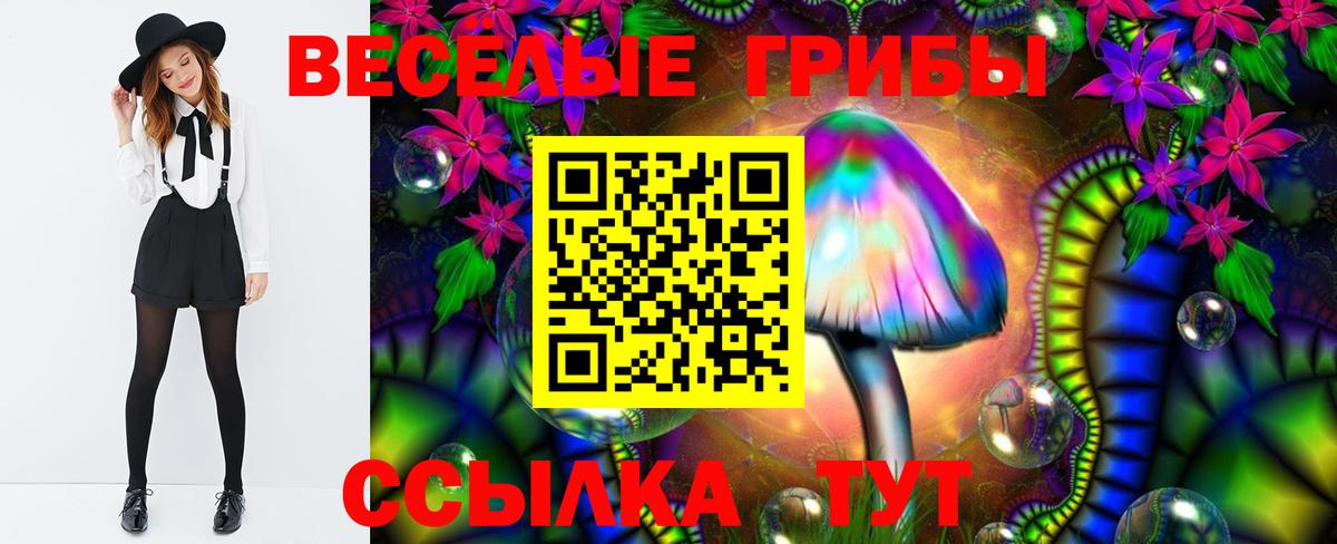 Чебоксары  Псилоцибиновые грибы мухоморы  Галлюциногенные грибы MAGIC MUSHROOMS  Вход с VPN 